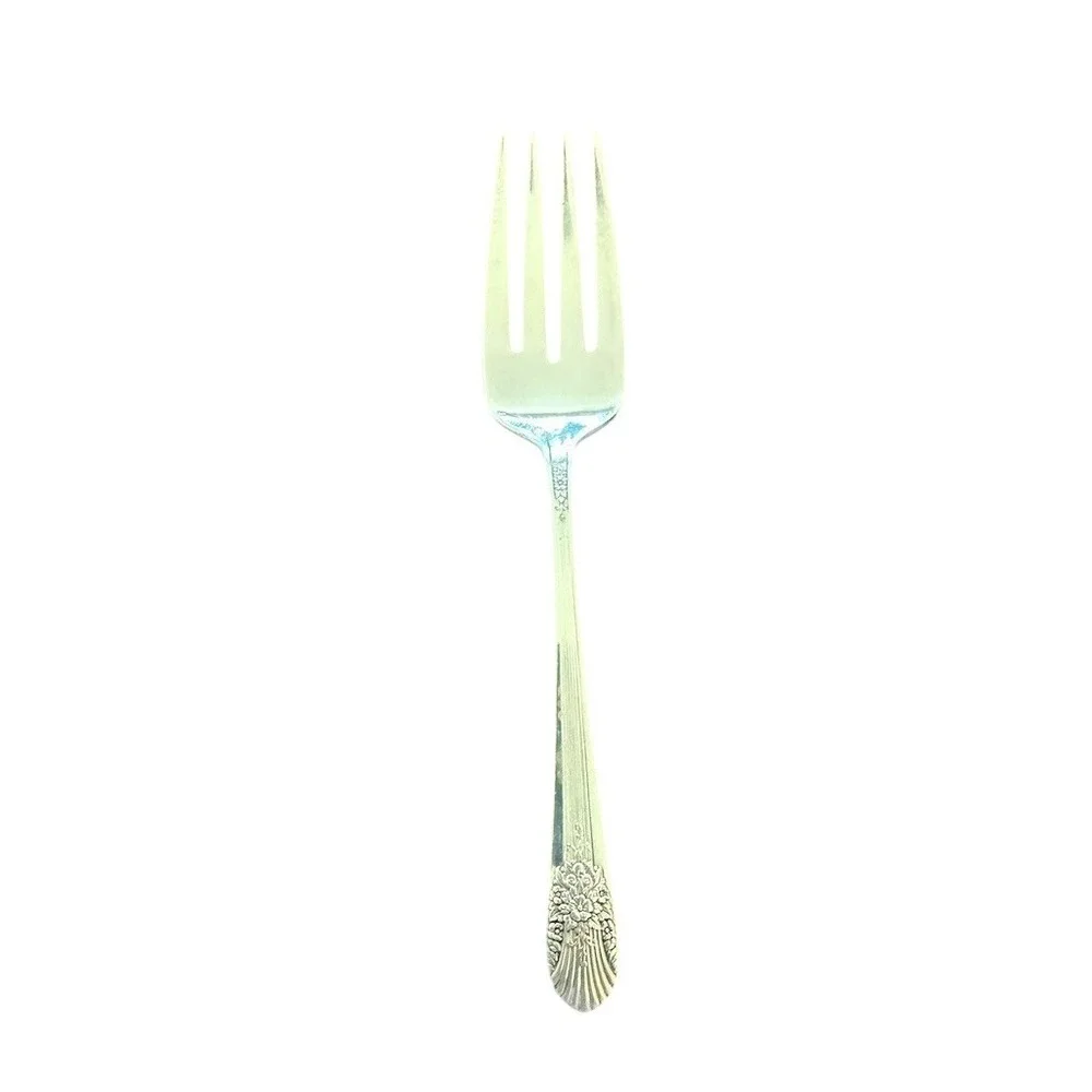 Wolff Wm. Rogers Vintage Silverplate Flatware Set Floral Shell w Chest